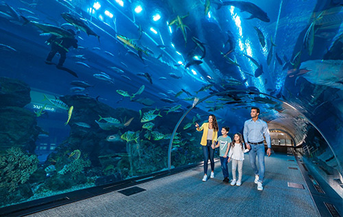 Dubai Aquarium & Underwater Zoo