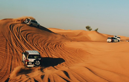 Dubai Desert Safari